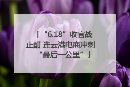 “6.18”收官战正酣 连云港电商冲刺“最后一公里”