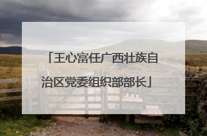 王心富任广西壮族自治区党委组织部部长