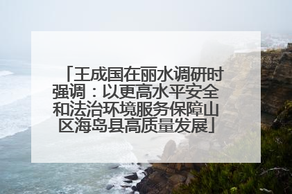 王成国在丽水调研时强调：以更高水平安全和法治环境服务保障山区海岛县高质量发展