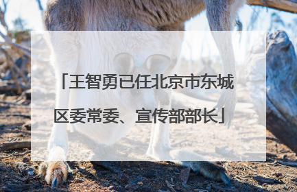 王智勇已任北京市东城区委常委、宣传部部长