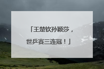 王楚钦孙颖莎，世乒赛三连冠！