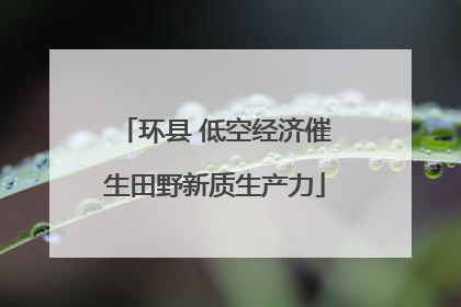 环县 低空经济催生田野新质生产力