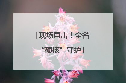 现场直击！全省“硬核”守护
