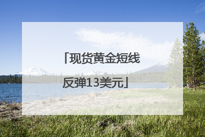 现货黄金短线反弹13美元