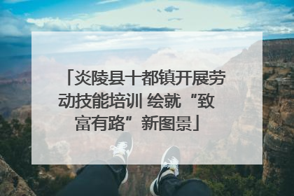 炎陵县十都镇开展劳动技能培训 绘就“致富有路”新图景