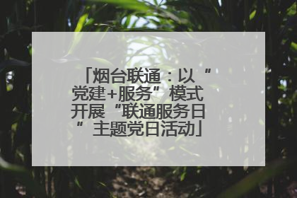 烟台联通：以“党建+服务”模式开展“联通服务日”主题党日活动