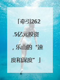 牵引262.5亿元投资，乐山的“速度和深度”