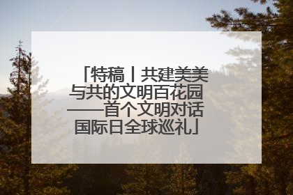 特稿丨共建美美与共的文明百花园——首个文明对话国际日全球巡礼