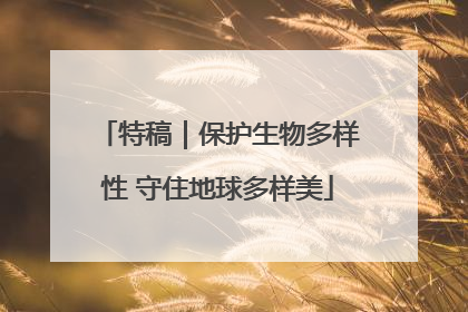 特稿｜保护生物多样性 守住地球多样美
