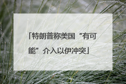 特朗普称美国“有可能”介入以伊冲突