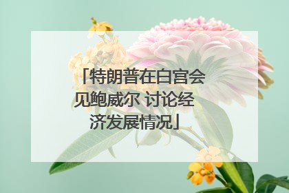 特朗普在白宫会见鲍威尔 讨论经济发展情况
