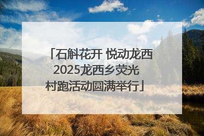 石斛花开 悦动龙西 2025龙西乡荧光村跑活动圆满举行