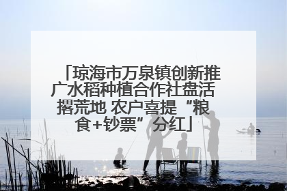 琼海市万泉镇创新推广水稻种植合作社盘活撂荒地 农户喜提“粮食+钞票”分红