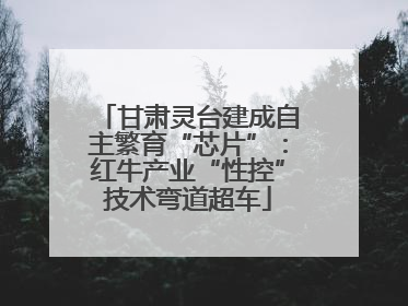 甘肃灵台建成自主繁育“芯片”：红牛产业“性控”技术弯道超车