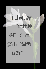 甘肃民勤：“信用种树” 汗水浇出“绿色存折”