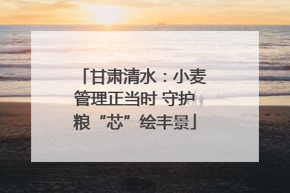 甘肃清水：小麦管理正当时 守护粮“芯”绘丰景
