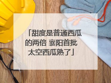 甜度是普通西瓜的两倍 襄阳首批太空西瓜熟了