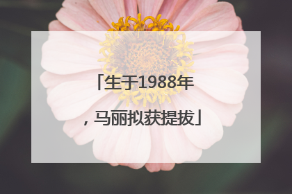 生于1988年，马丽拟获提拔