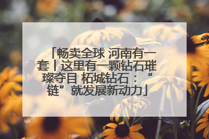 畅卖全球 河南有一套丨这里有一颗钻石璀璨夺目 柘城钻石：“链”就发展新动力