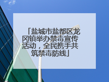 盐城市盐都区龙冈镇举办禁毒宣传活动，全民携手共筑禁毒防线