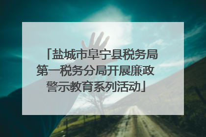 盐城市阜宁县税务局第一税务分局开展廉政警示教育系列活动