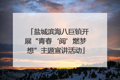 盐城滨海八巨镇开展“青春‘阅’燃梦想”主题宣讲活动