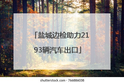 盐城边检助力2193辆汽车出口