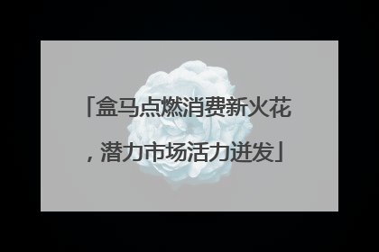 盒马点燃消费新火花，潜力市场活力迸发