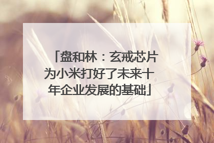 盘和林：玄戒芯片为小米打好了未来十年企业发展的基础