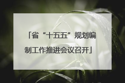 省“十五五”规划编制工作推进会议召开