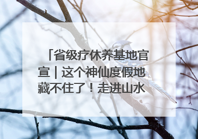 省级疗休养基地官宣｜这个神仙度假地藏不住了！走进山水秘境 开启一场野奢度假之旅！