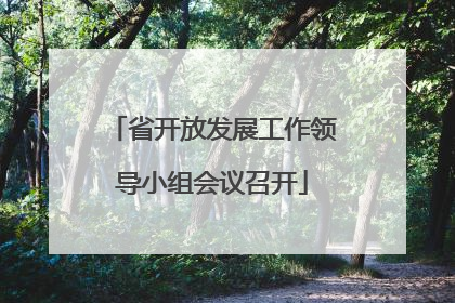 省开放发展工作领导小组会议召开