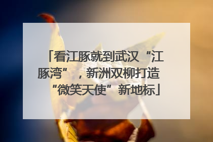 看江豚就到武汉“江豚湾”，新洲双柳打造“微笑天使”新地标