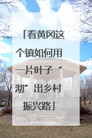 看黄冈这个镇如何用一片叶子“沏”出乡村振兴路