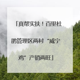真帮实扶！百里杜鹃管理区两村“威宁鸡”产销两旺
