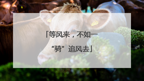 等风来，不如一“骑”追风去