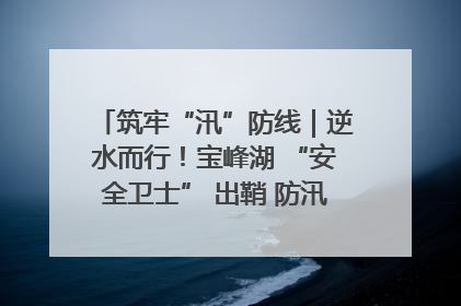 筑牢“汛”防线｜逆水而行！宝峰湖 “安全卫士” 出鞘 防汛应急再添硬核力量