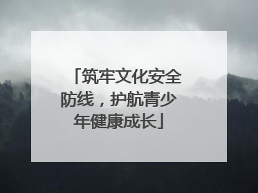 筑牢文化安全防线，护航青少年健康成长