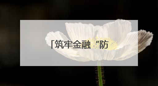 筑牢金融“防护网” 守护万家“钱袋子”