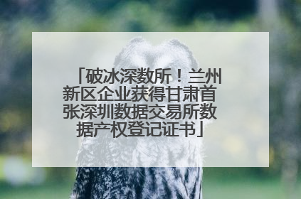 破冰深数所！兰州新区企业获得甘肃首张深圳数据交易所数据产权登记证书