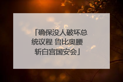 确保没人破坏总统议程 鲁比奥腰斩白宫国安会