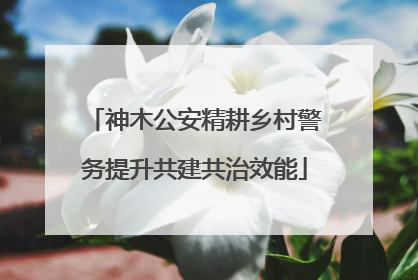 神木公安精耕乡村警务提升共建共治效能