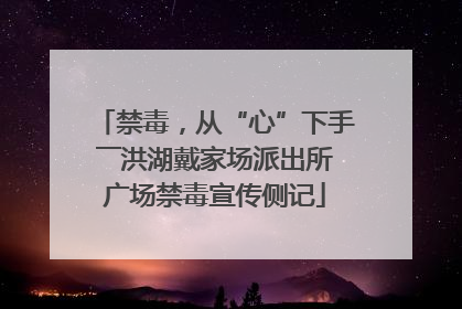 禁毒，从“心”下手――洪湖戴家场派出所广场禁毒宣传侧记