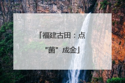福建古田：点“菌”成金