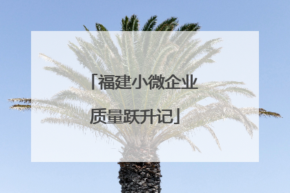 福建小微企业质量跃升记