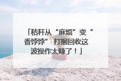 秸秆从“麻烦”变“香饽饽” 打捆回收这波操作太赚了！