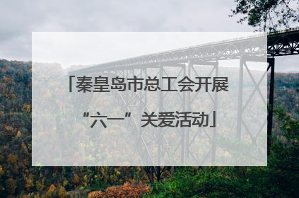 秦皇岛市总工会开展“六一”关爱活动