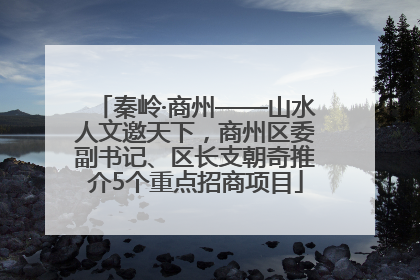 秦岭·商州——山水人文邀天下，商州区委副书记、区长支朝奇推介5个重点招商项目