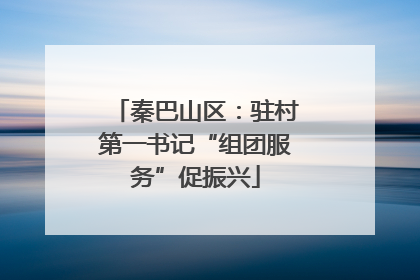 秦巴山区：驻村第一书记“组团服务”促振兴