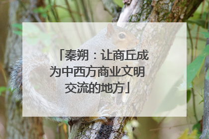 秦朔：让商丘成为中西方商业文明交流的地方